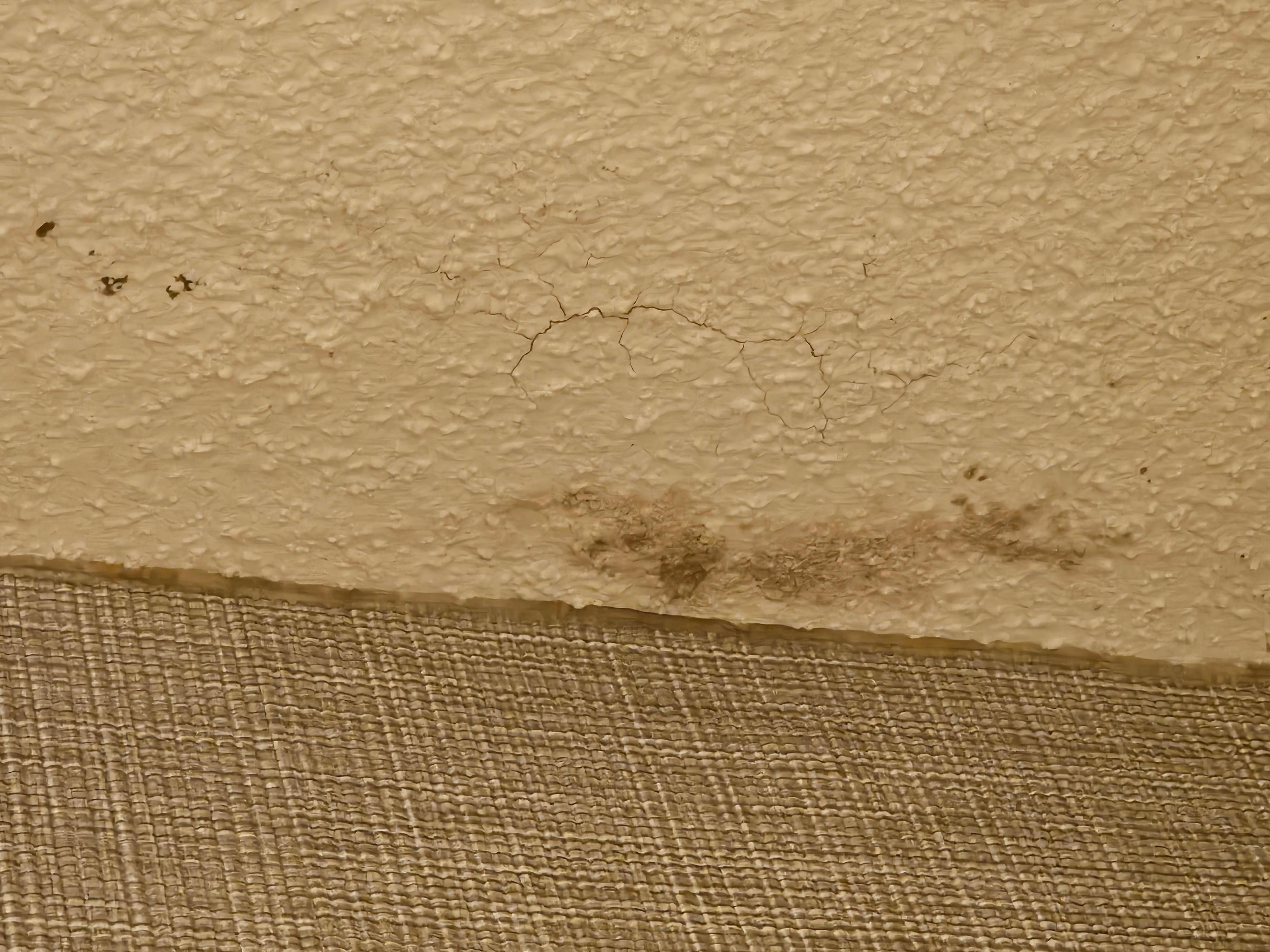 Bathroom ceiling covered in this