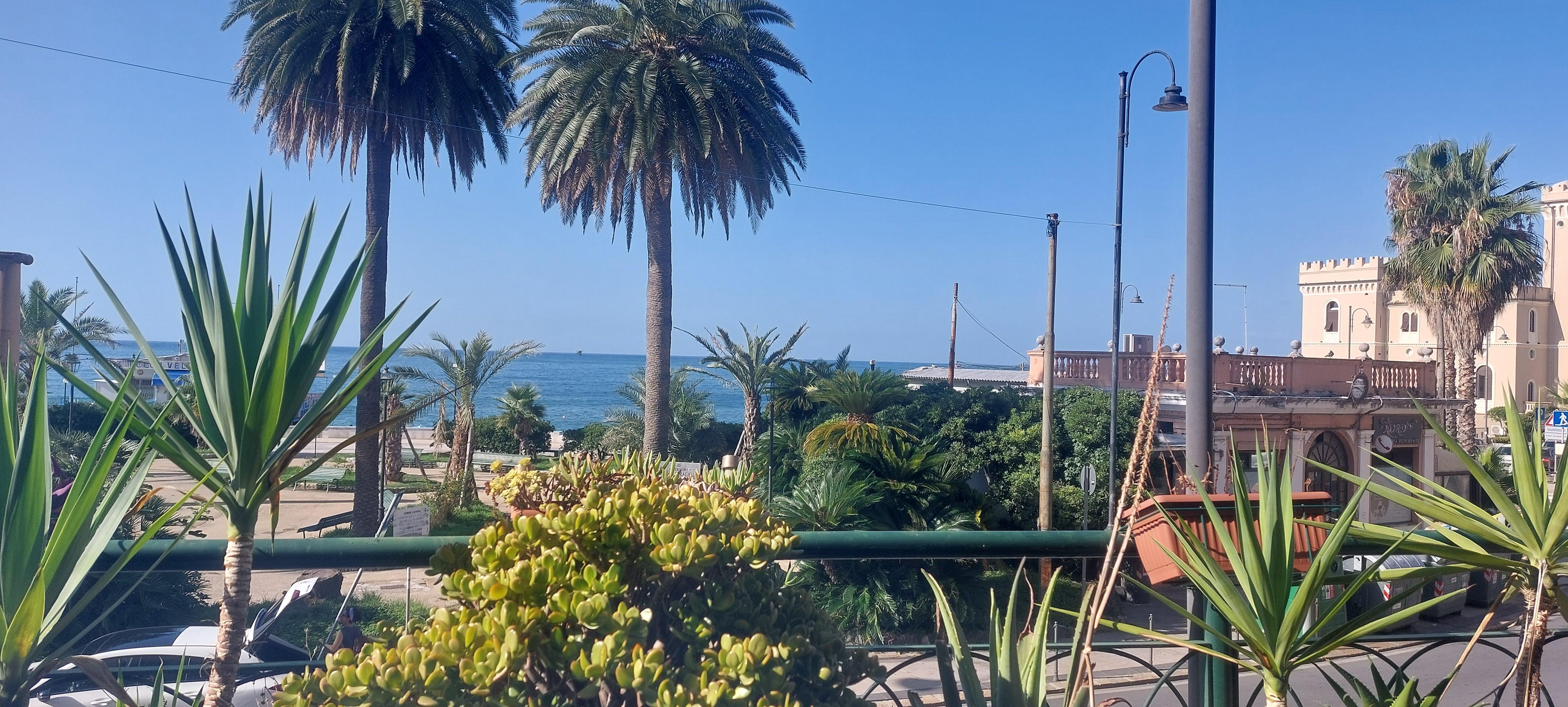 Vue depuis la chambre