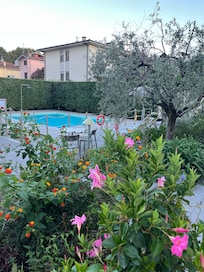 Lovely garden and pool