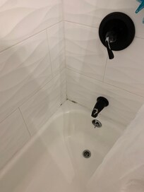Mold in tub area an faucet peeling
