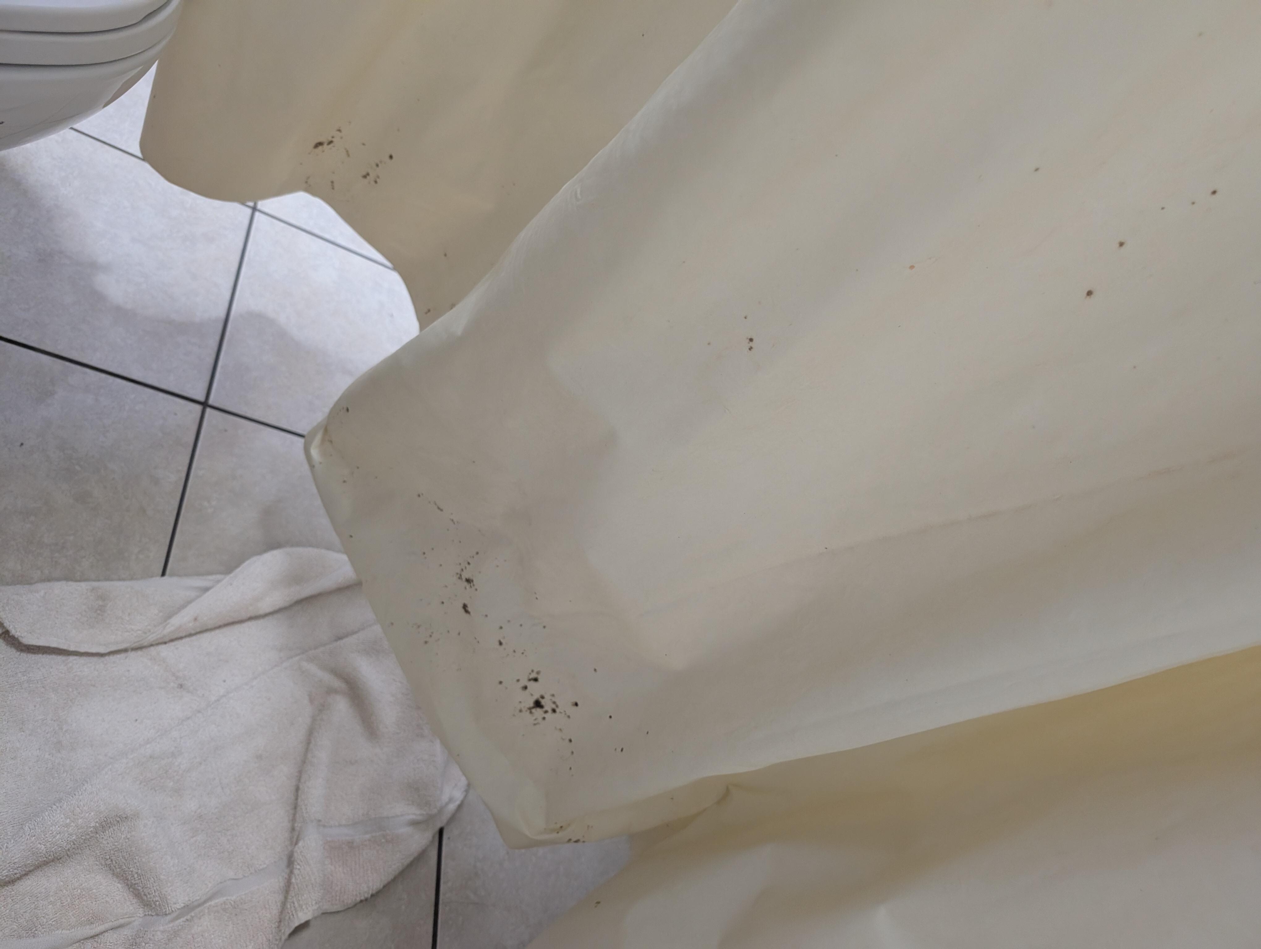 Shower Curtain - MOLD