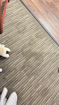 Pet pee stains