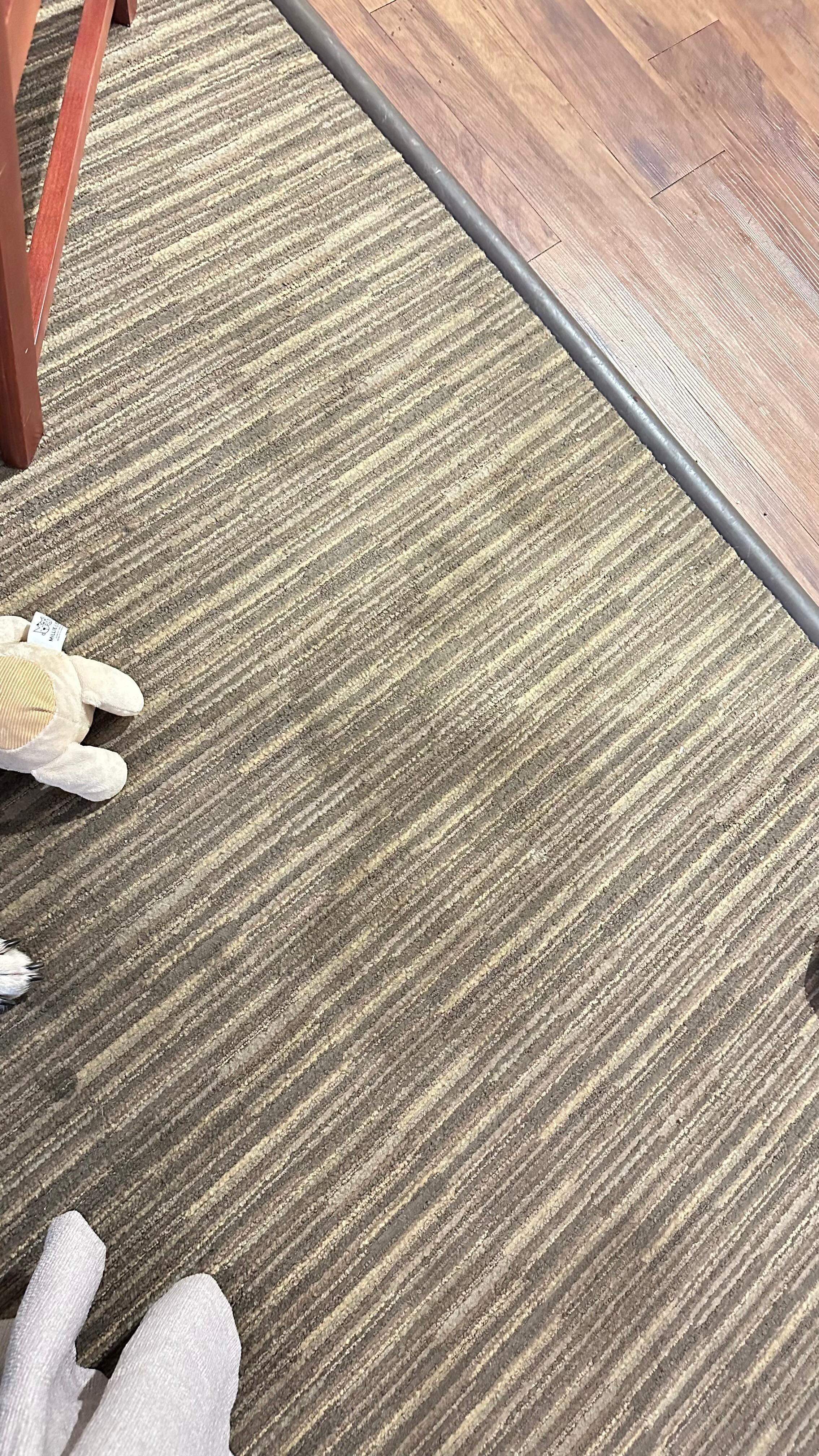 Pet pee stains  