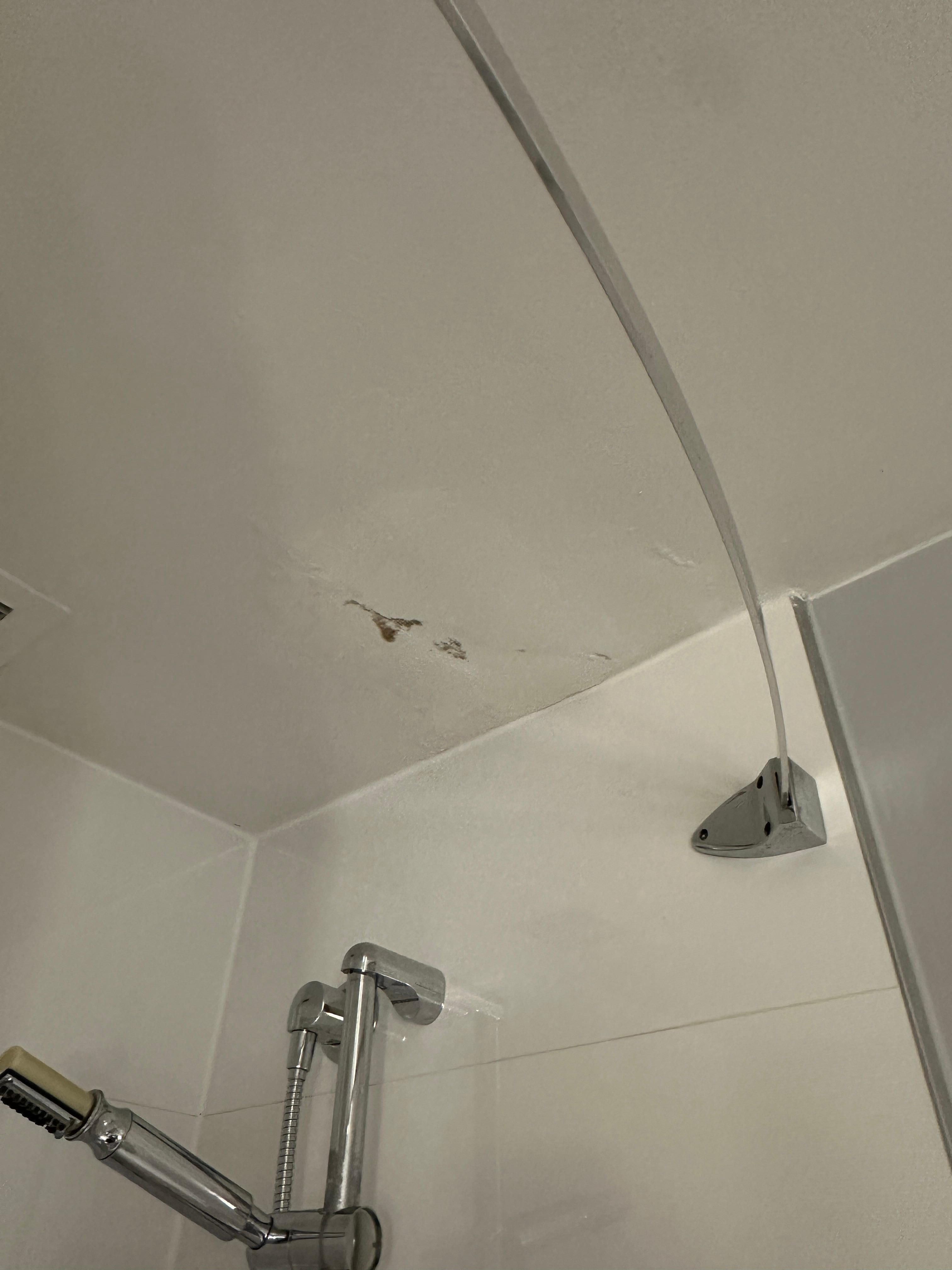 Mold or staining on ceiling in bathroom 