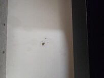Ceiling has stains
