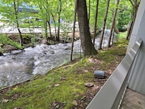 Brook off the patio of our room.