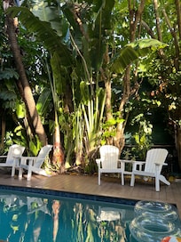 The lush vegetation by the pool.