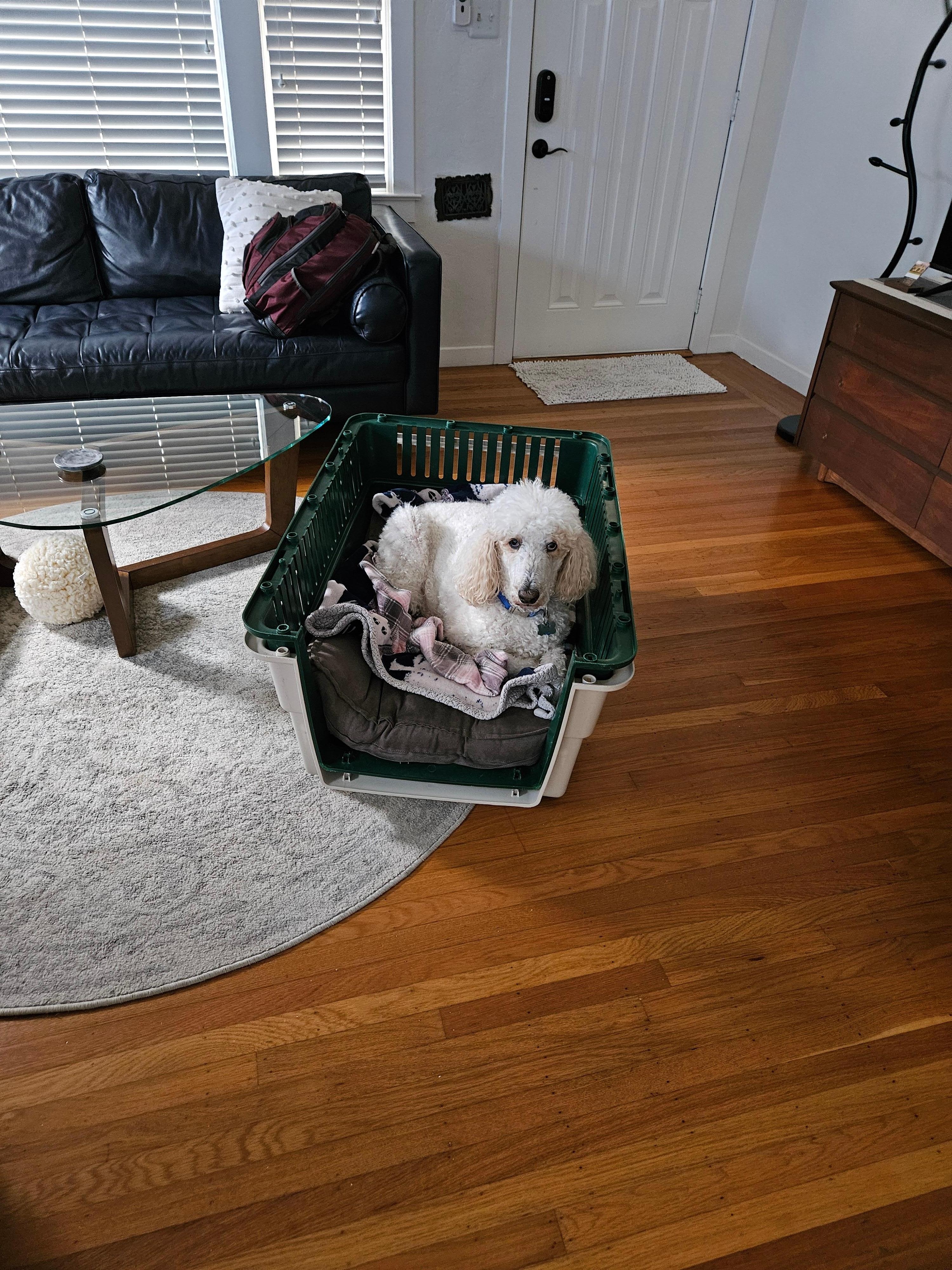 He didn't want to leave,  that or be left?!