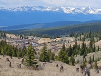 Four Wheeling near Leadville