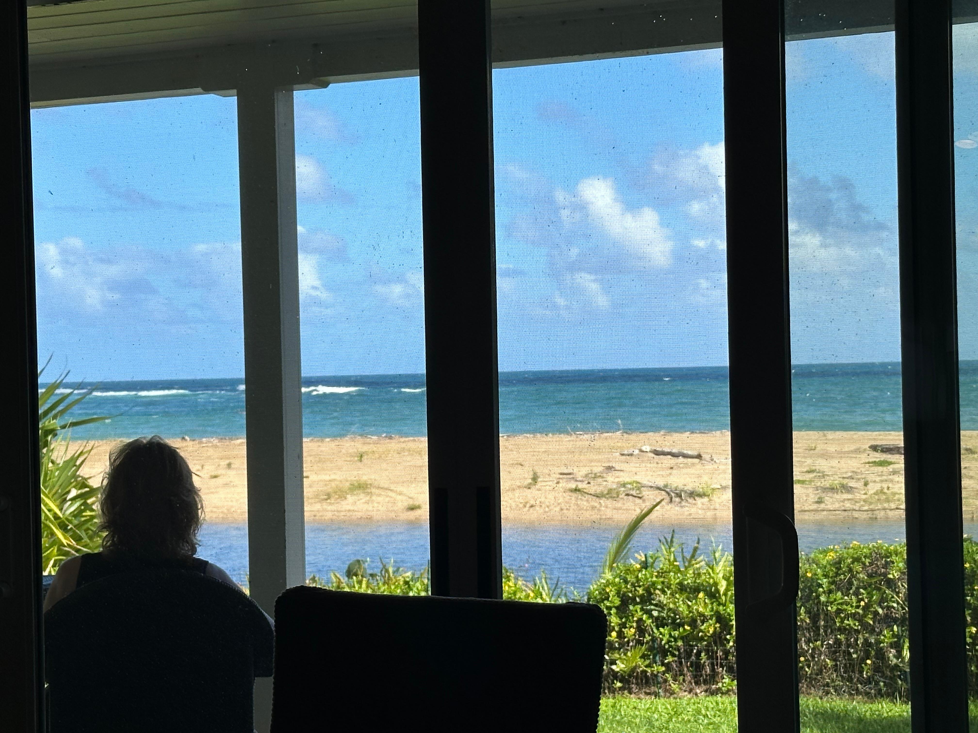 View from inside house