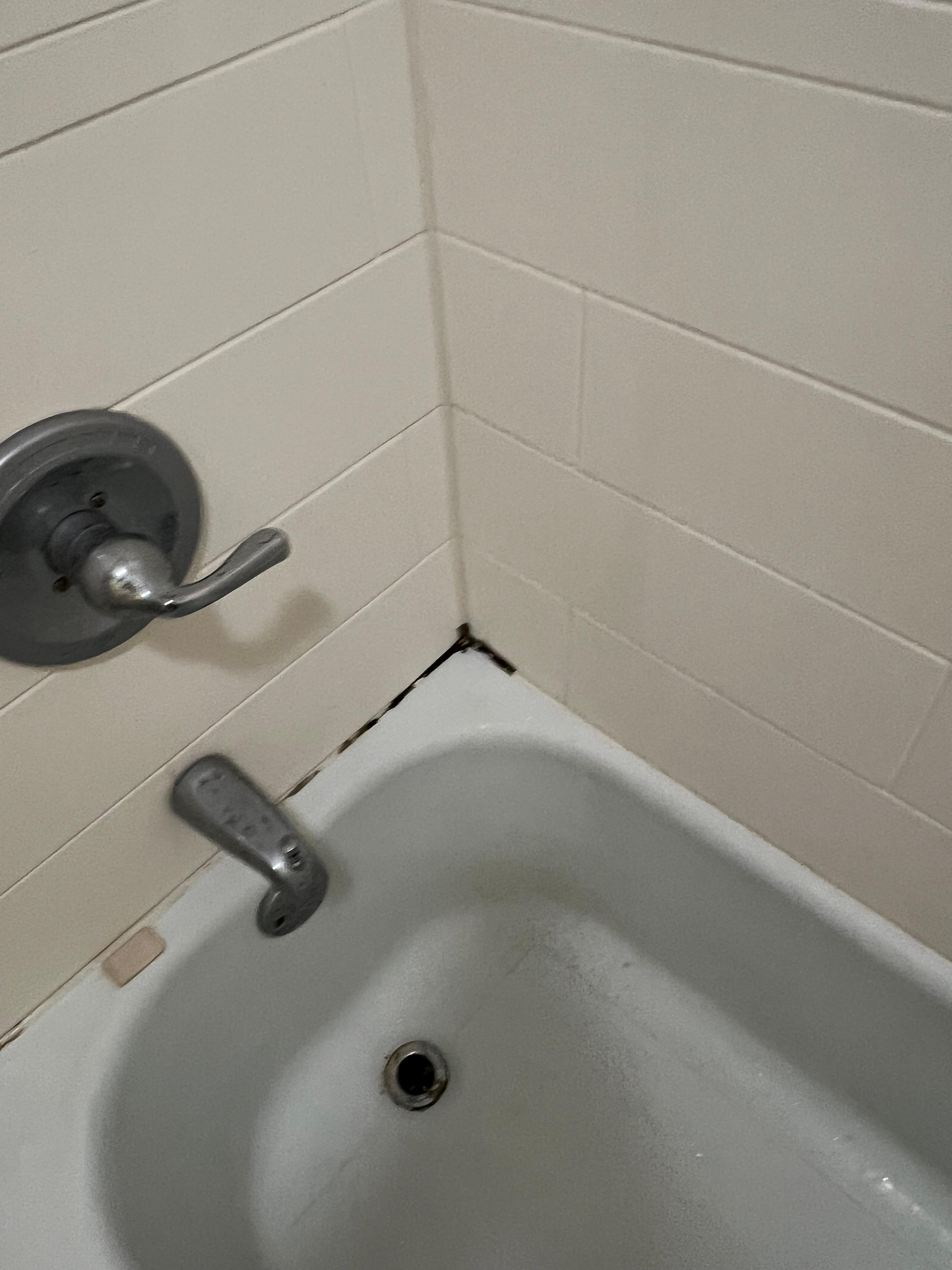 moldy tub