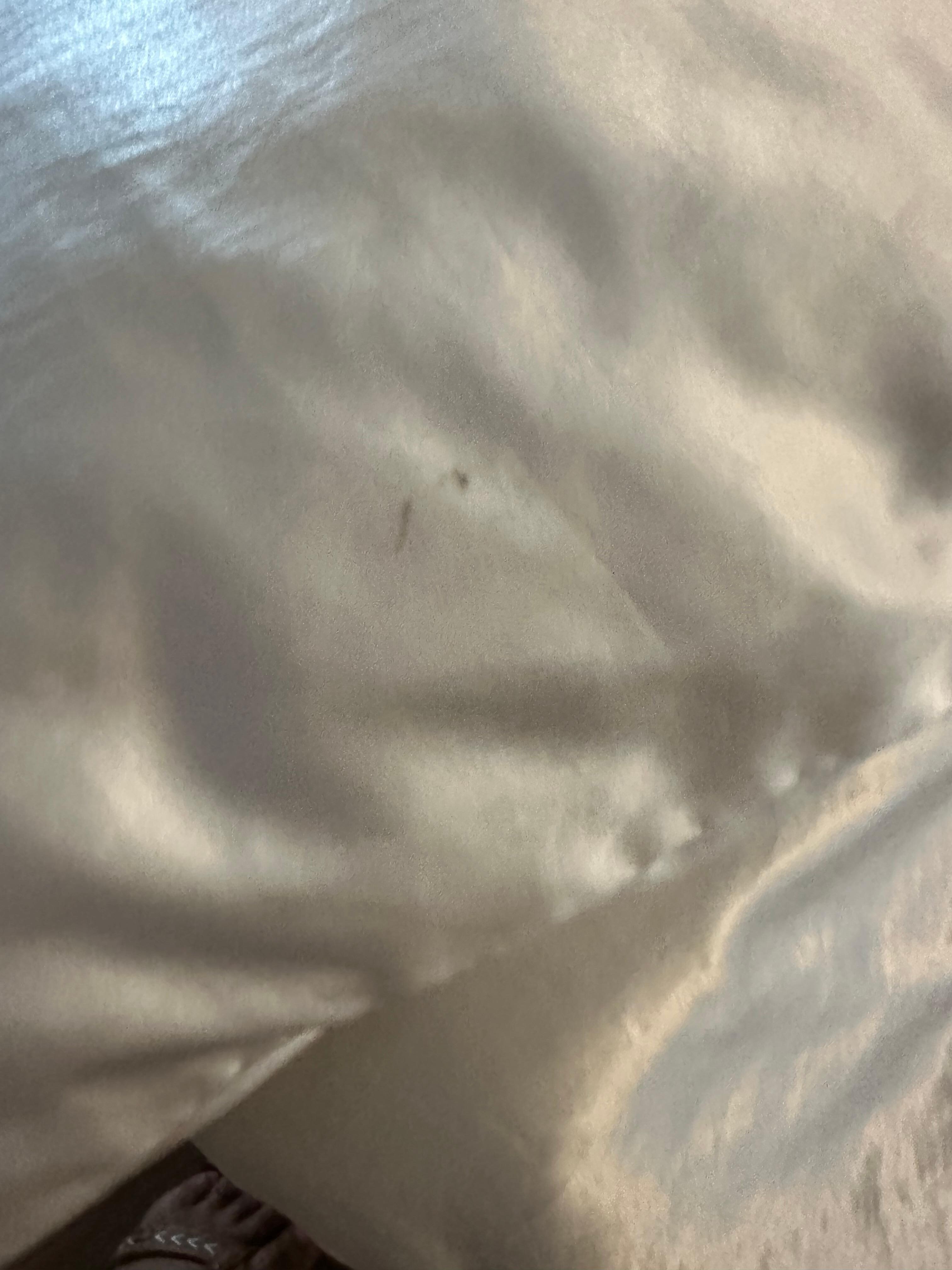 Stained pillows 