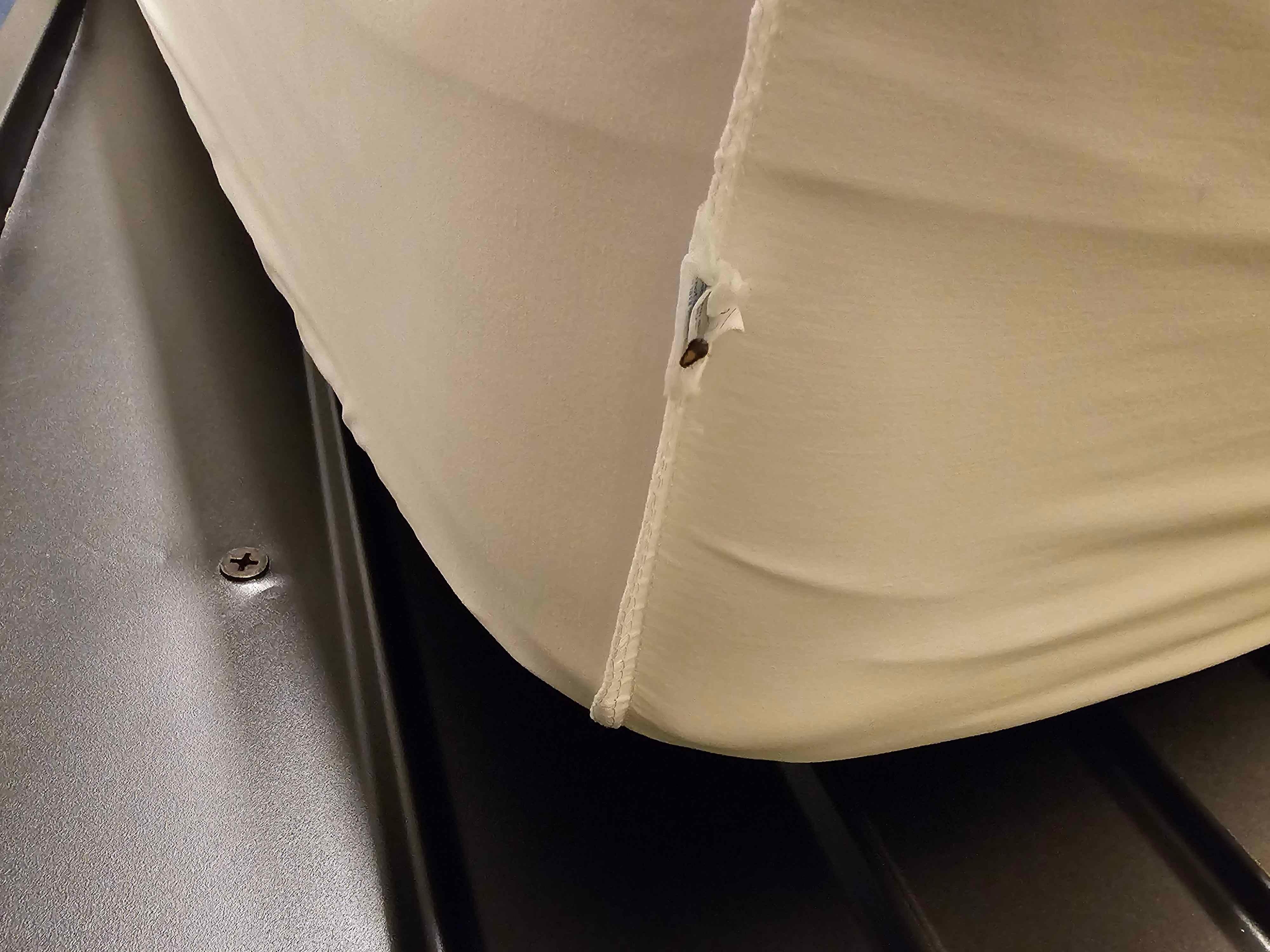 Cockroach in room 120