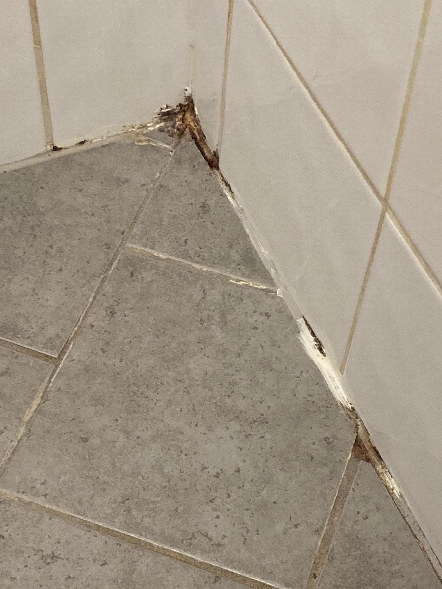 Badrummet är mögligt