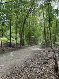 Trail down to Charles River