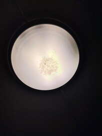 Lampskärm, fullt med insekter