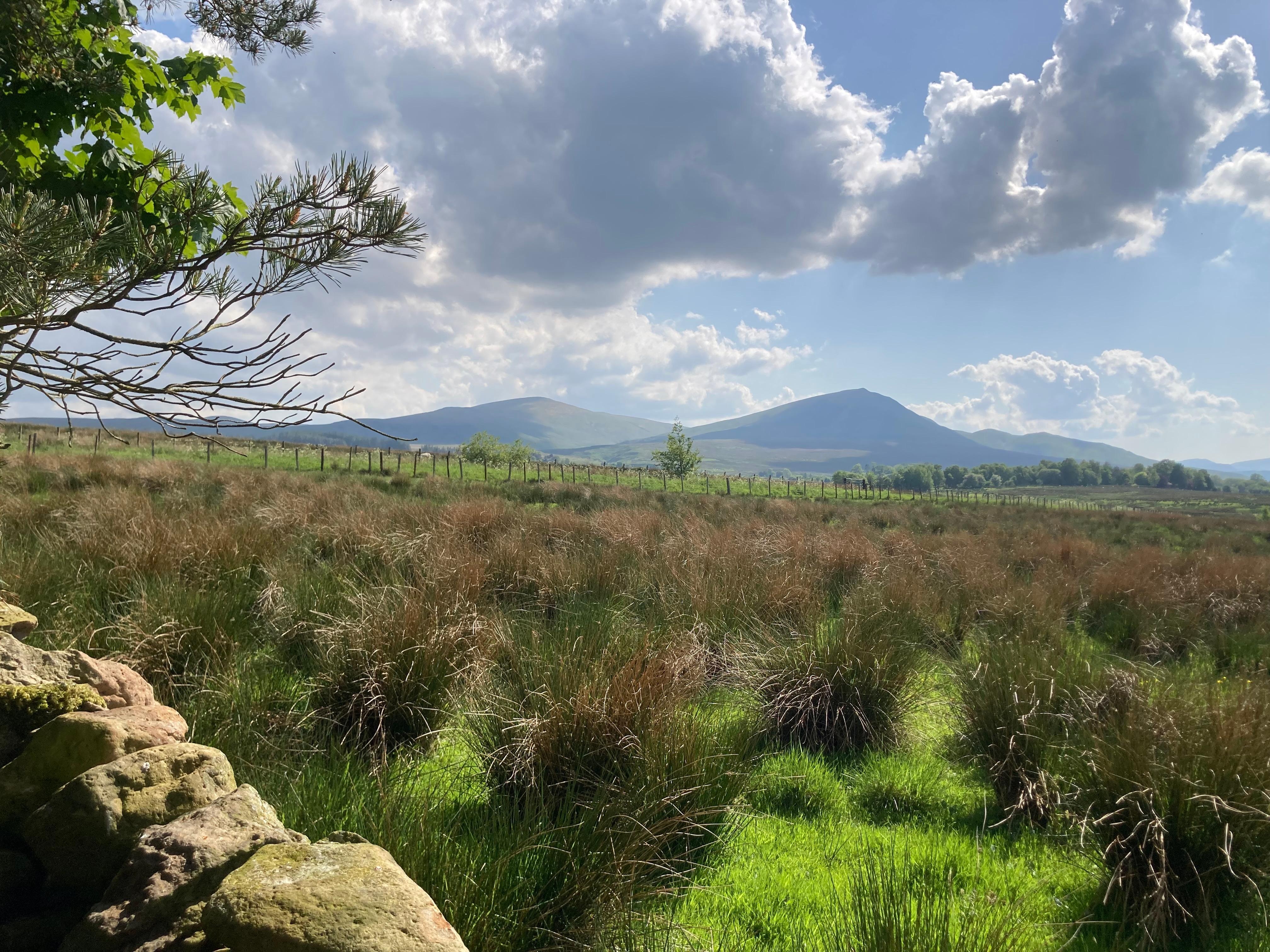 The view of the peaks from the little wall at the edge of the wood was brilliant