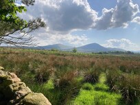 The view of the peaks from the little wall at the edge of the wood was brilliant