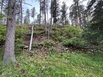 The hillside by the firepit! Totally cool!