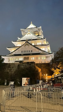 Castle at night
