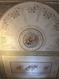 View of the ceiling laying in bed