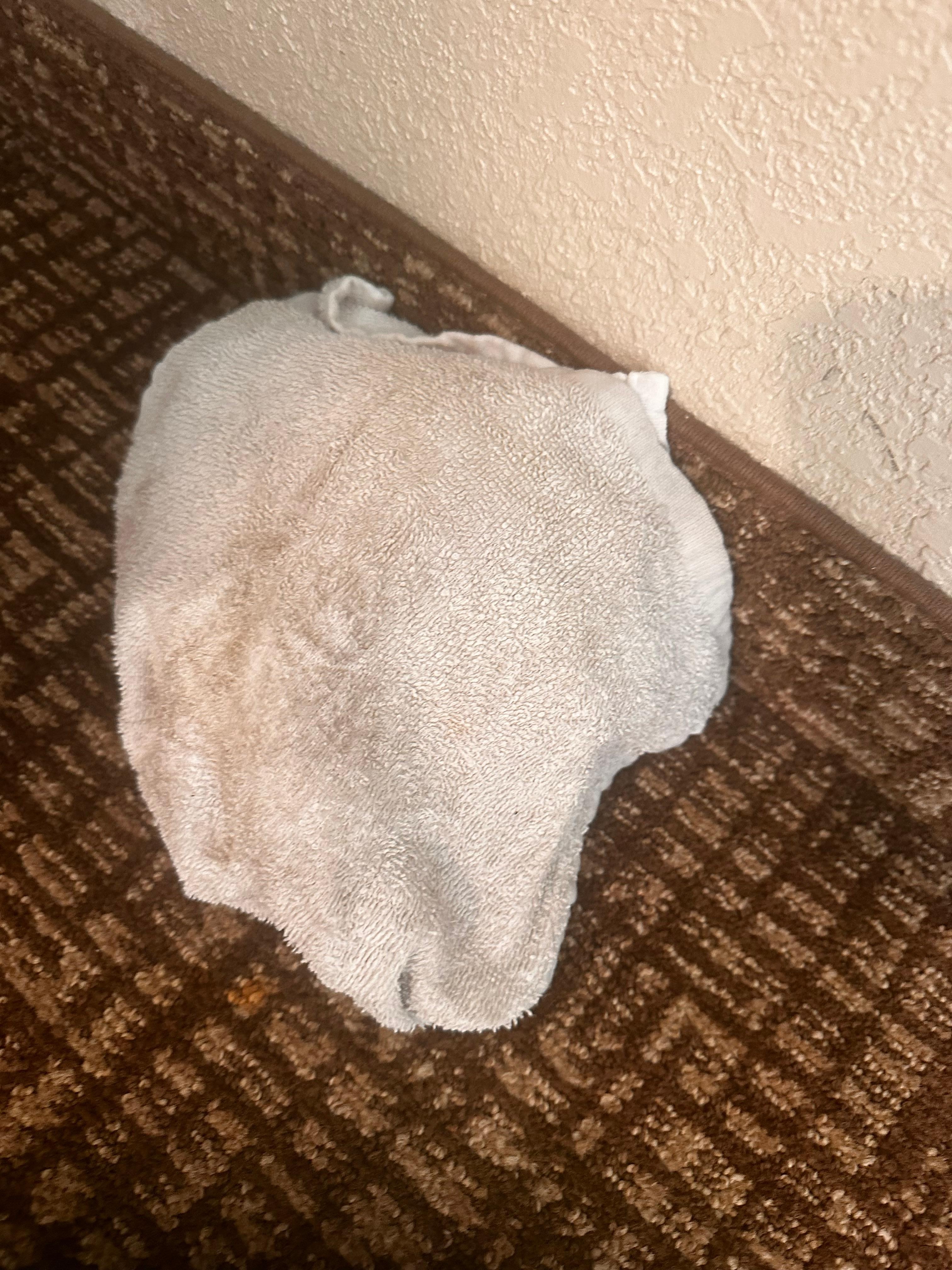Dirty towel that had the room door propped open before we arrived 