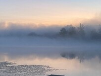 Beautiful view from the back deck on a foggy morning.