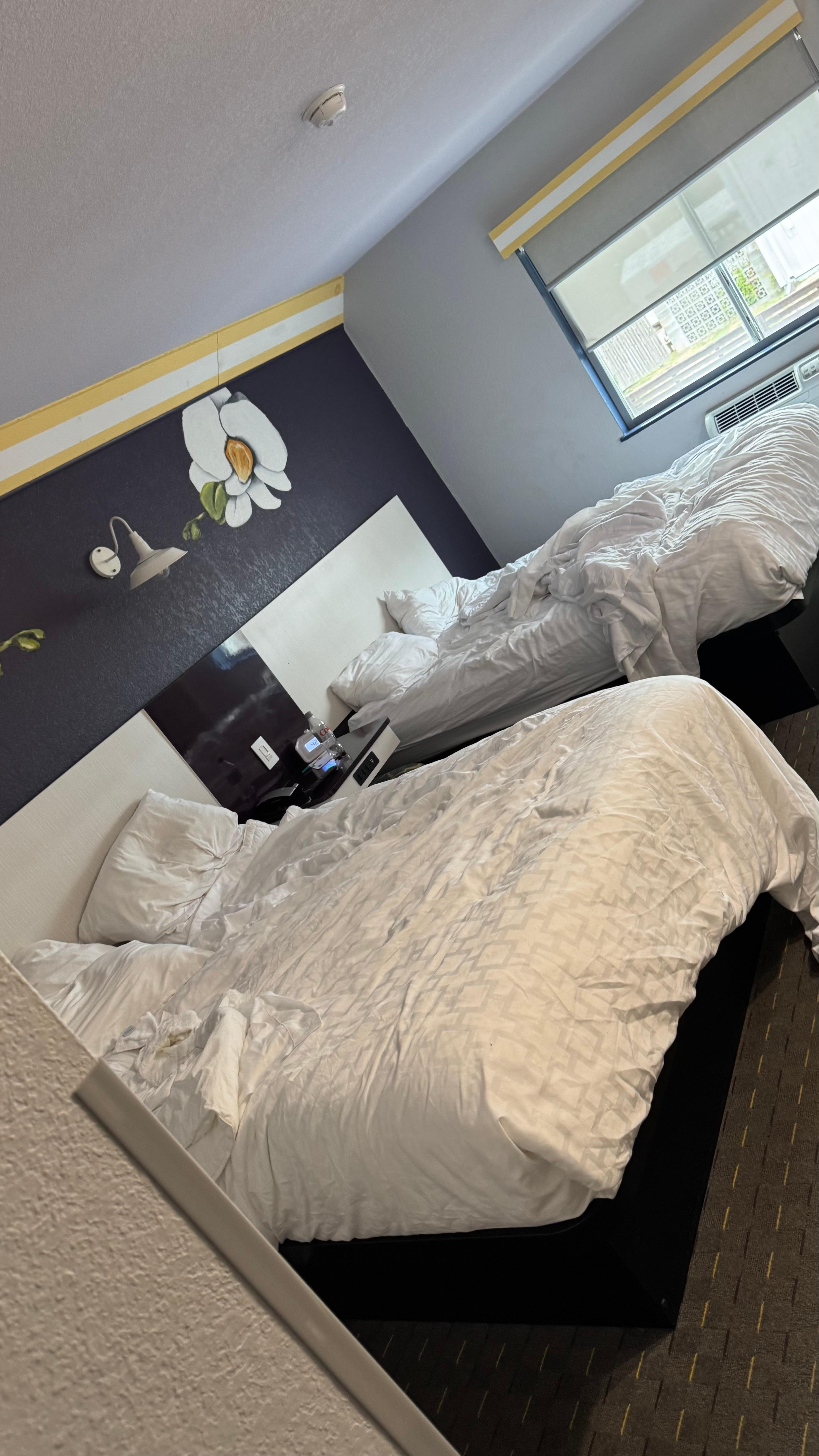 Room clearly not cleaned since the last guest checked out