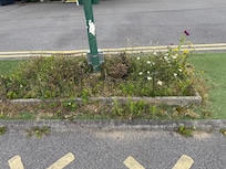 Typical flower bed