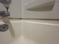 Mold/mildew