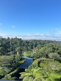 Aussicht Frühstück