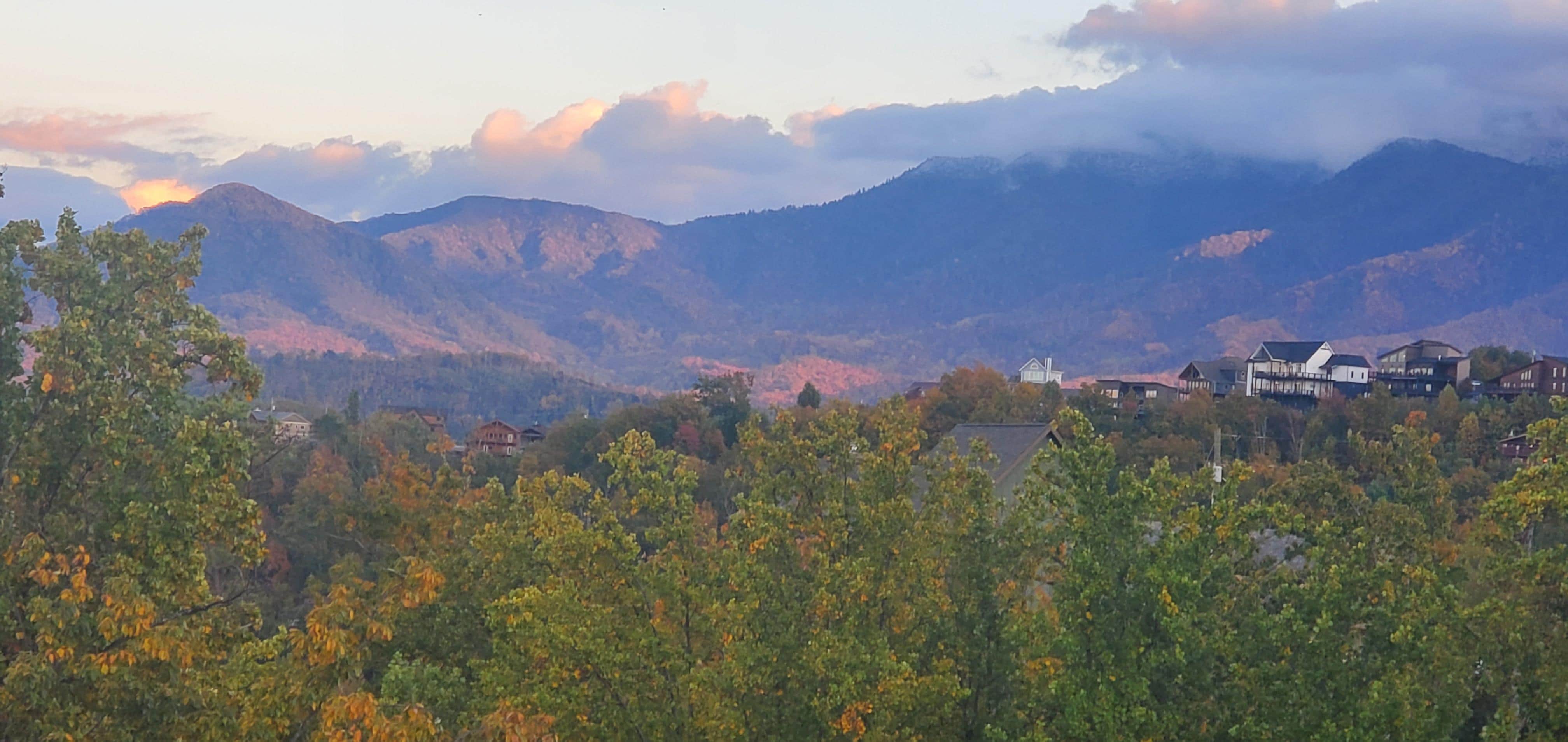 View from main floor deck