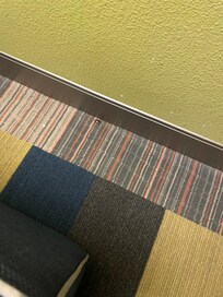 cockroach