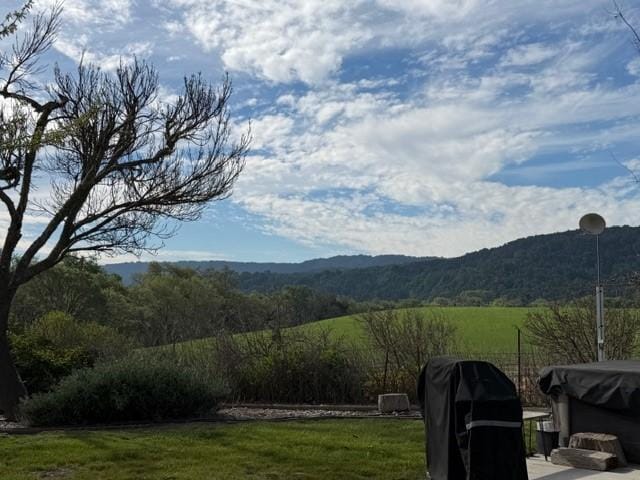 View off the back porch