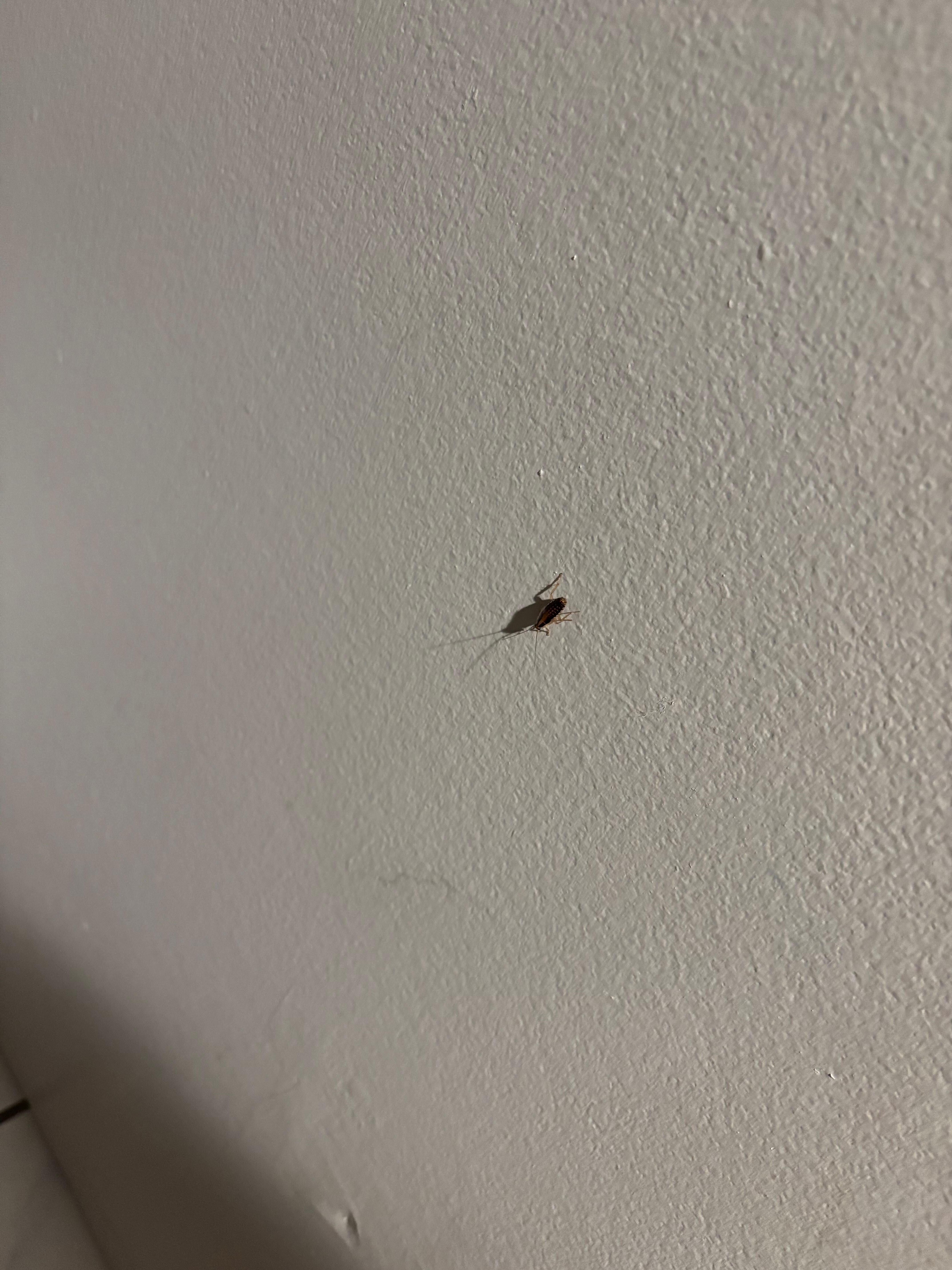 Roaches everywhere. Woke up at 4a and left immediately. 