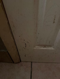 Something splattered on bathroom door