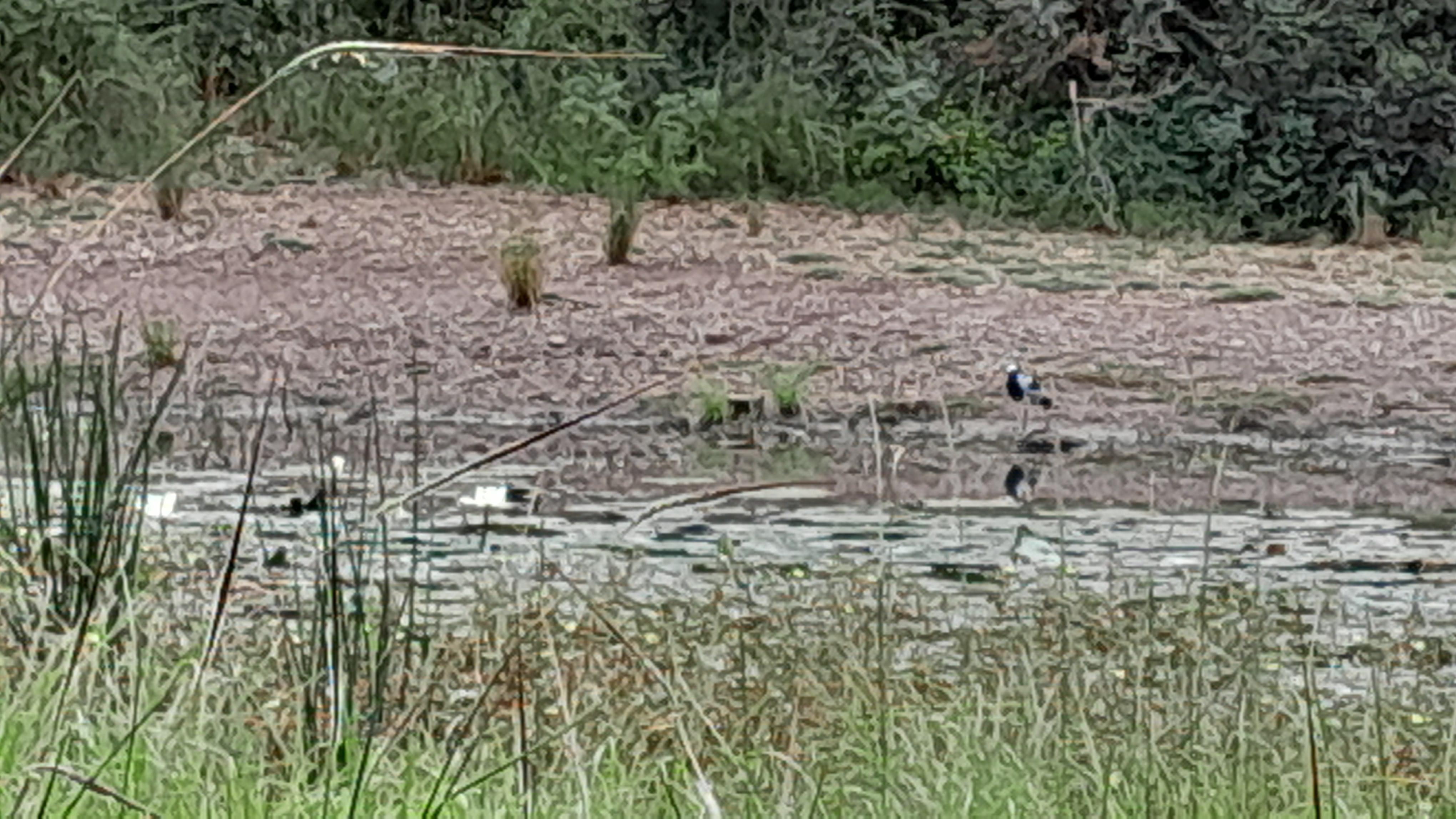 Rien à voir à cause de la pluie
Et le lendemain accès interdit cause ménage !