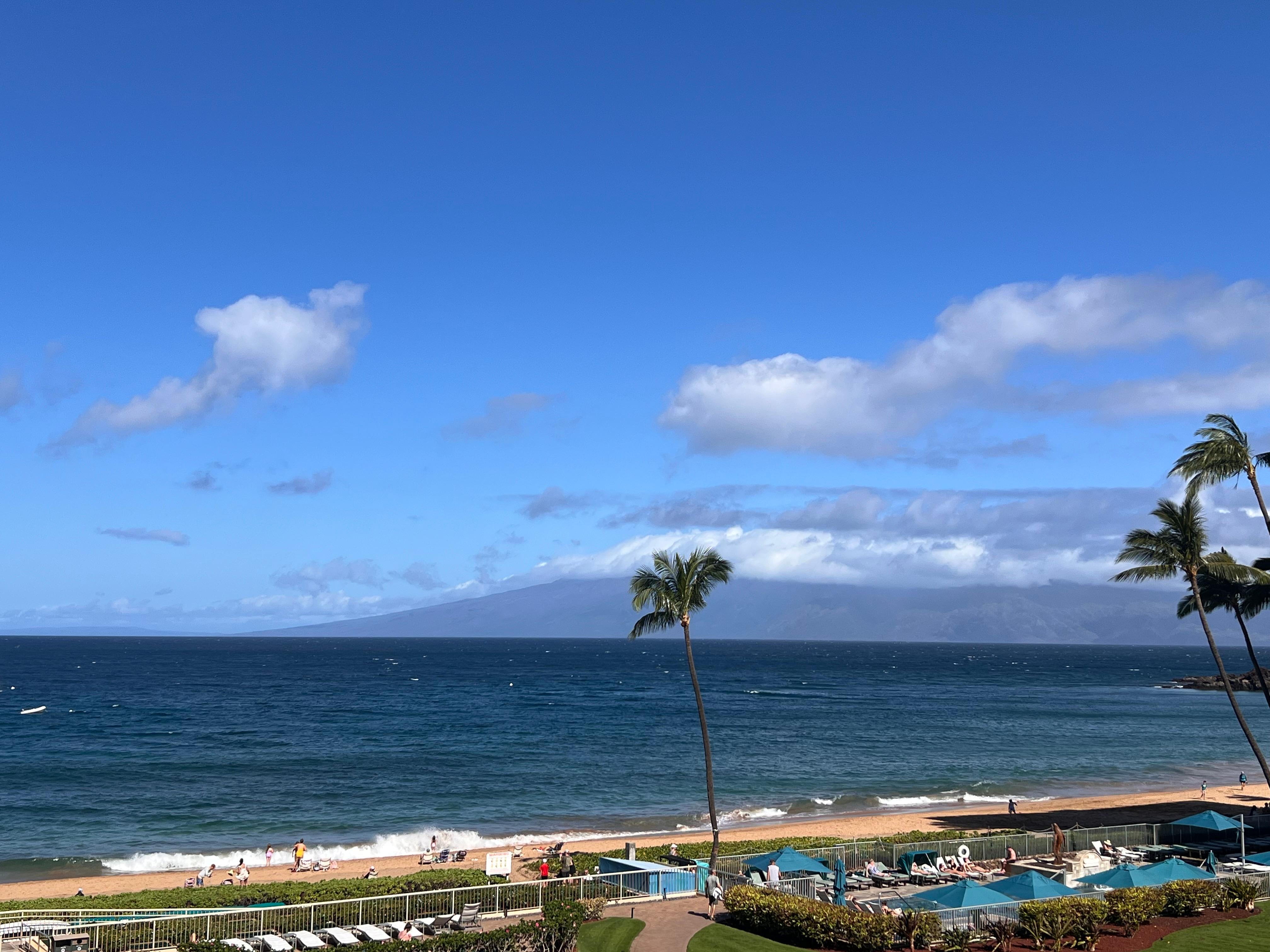 View from the lanai. 