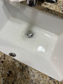 Clogged sink