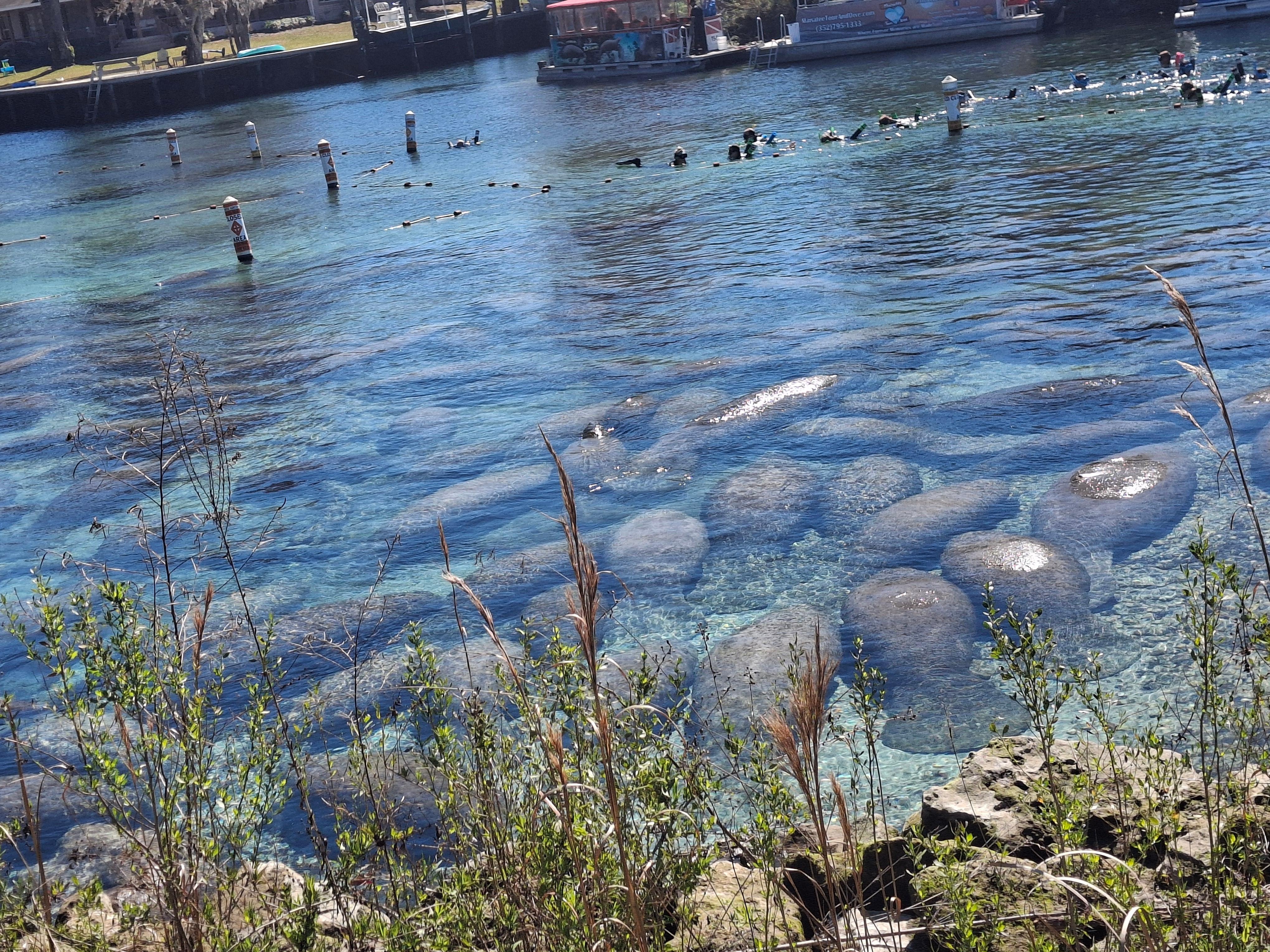 Nearby Three sisters springs
