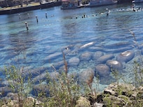 Nearby Three sisters springs