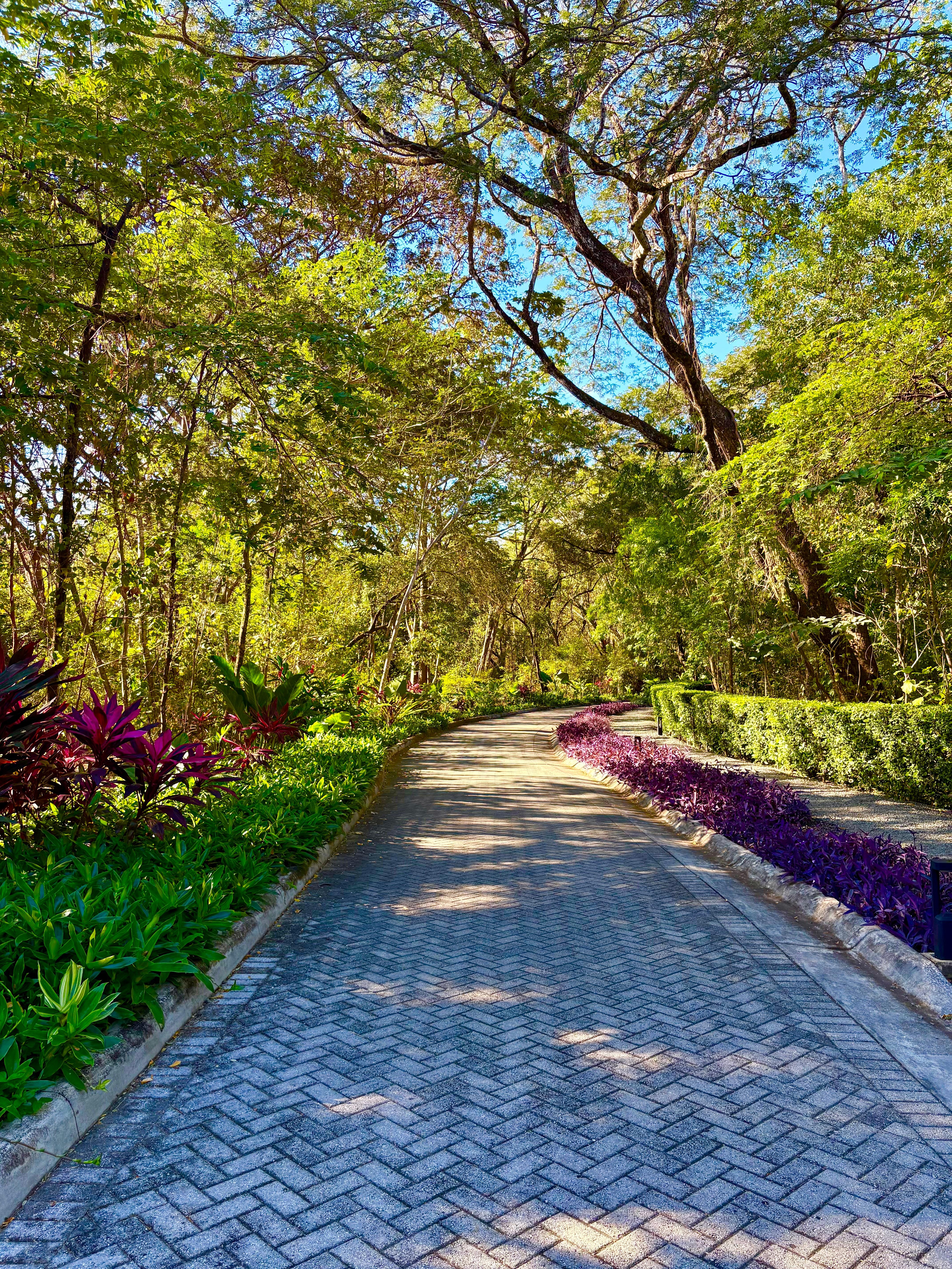 Beautiful rides on golf carts down to the beach, but also a lovely walk