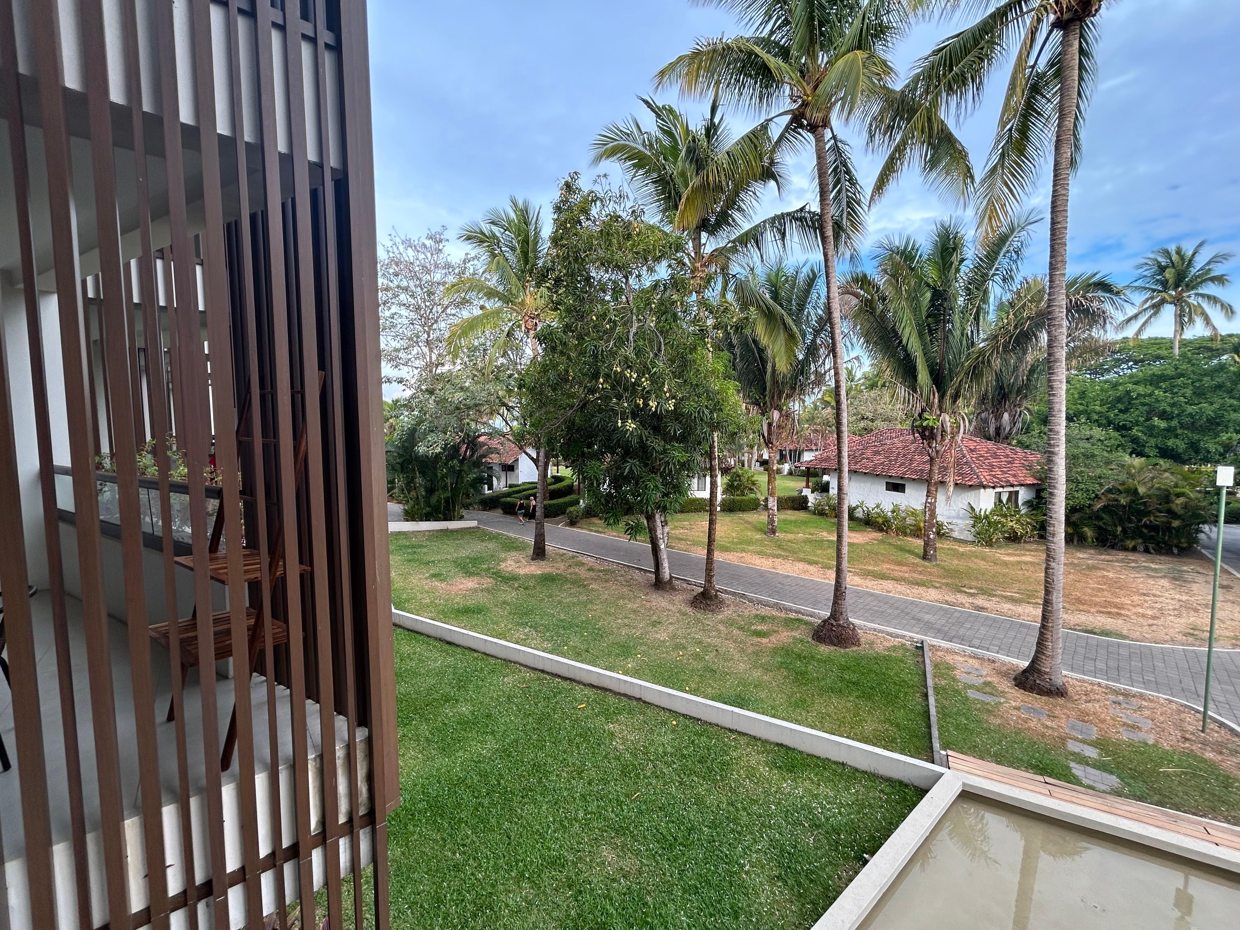 Room with garden view 