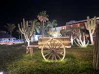 Central garden area lit up at night.