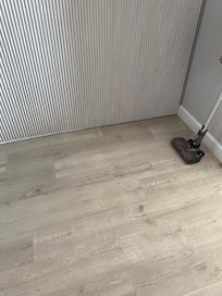 Dead bugs all over - the vacuum I had to use constantly to keep bugs from crawling into other rooms