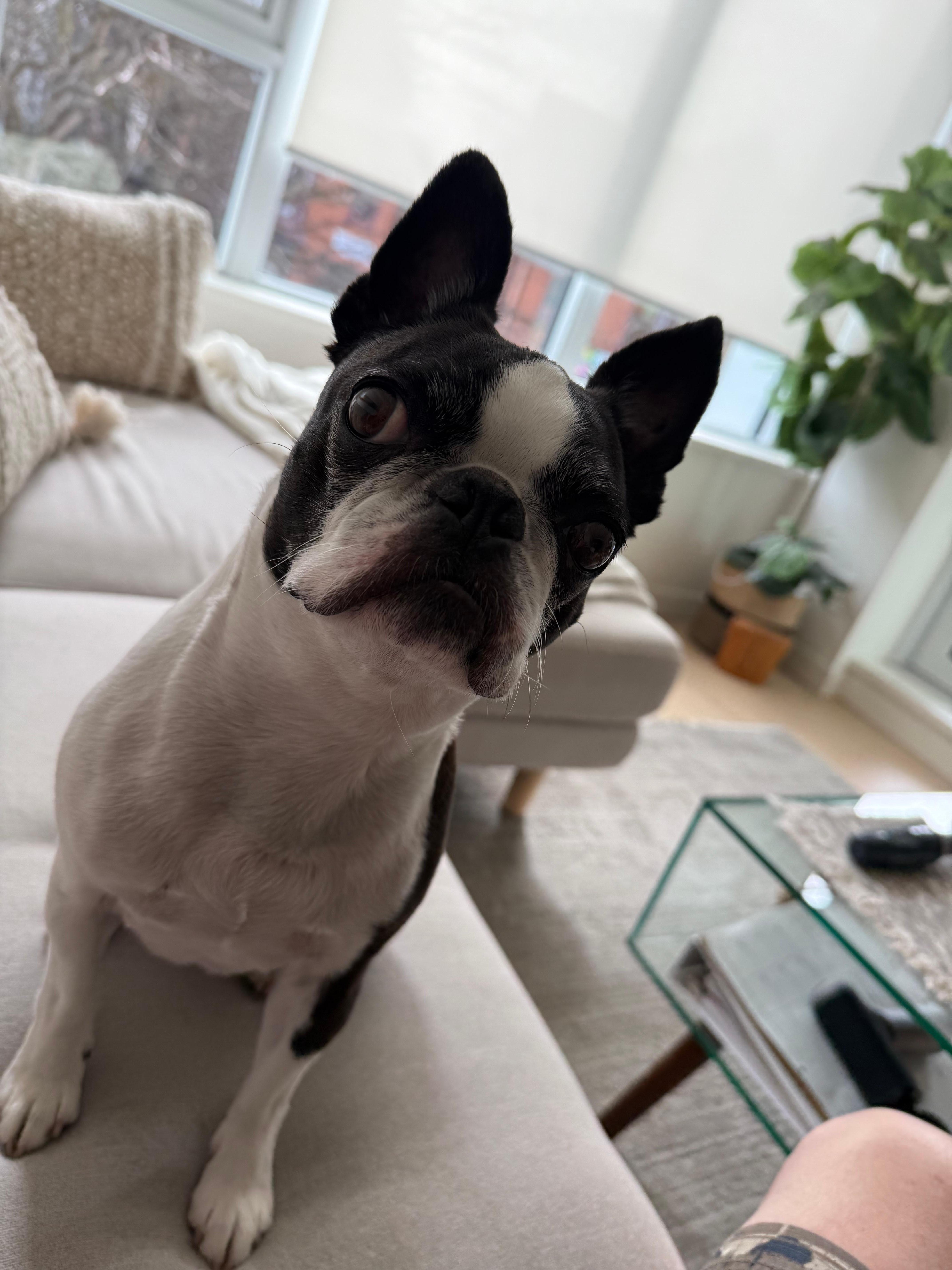 Rolex loved the neighborhood. Very walkable and lots to see and do.