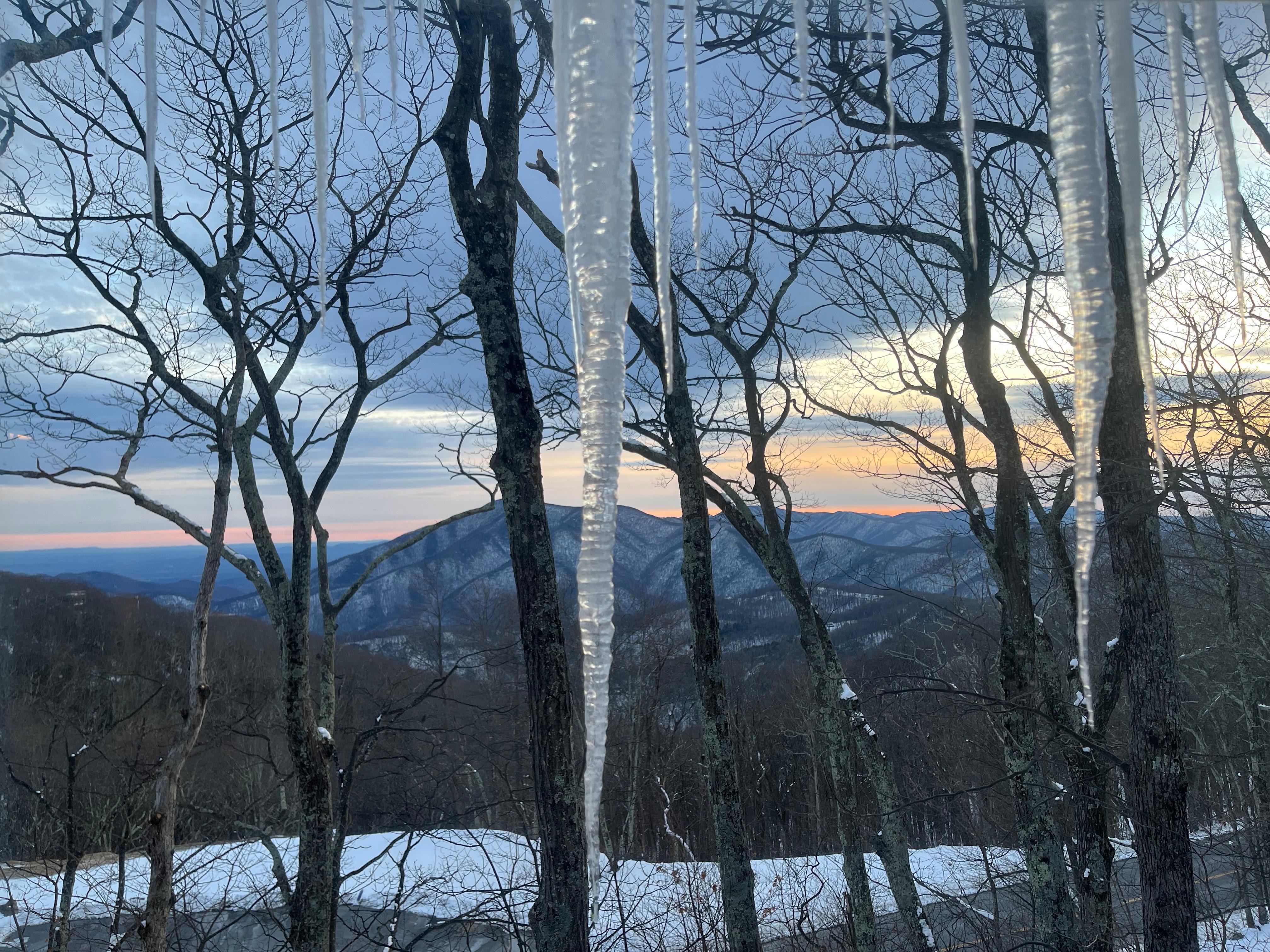 Family room window view