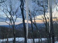 Family room window view