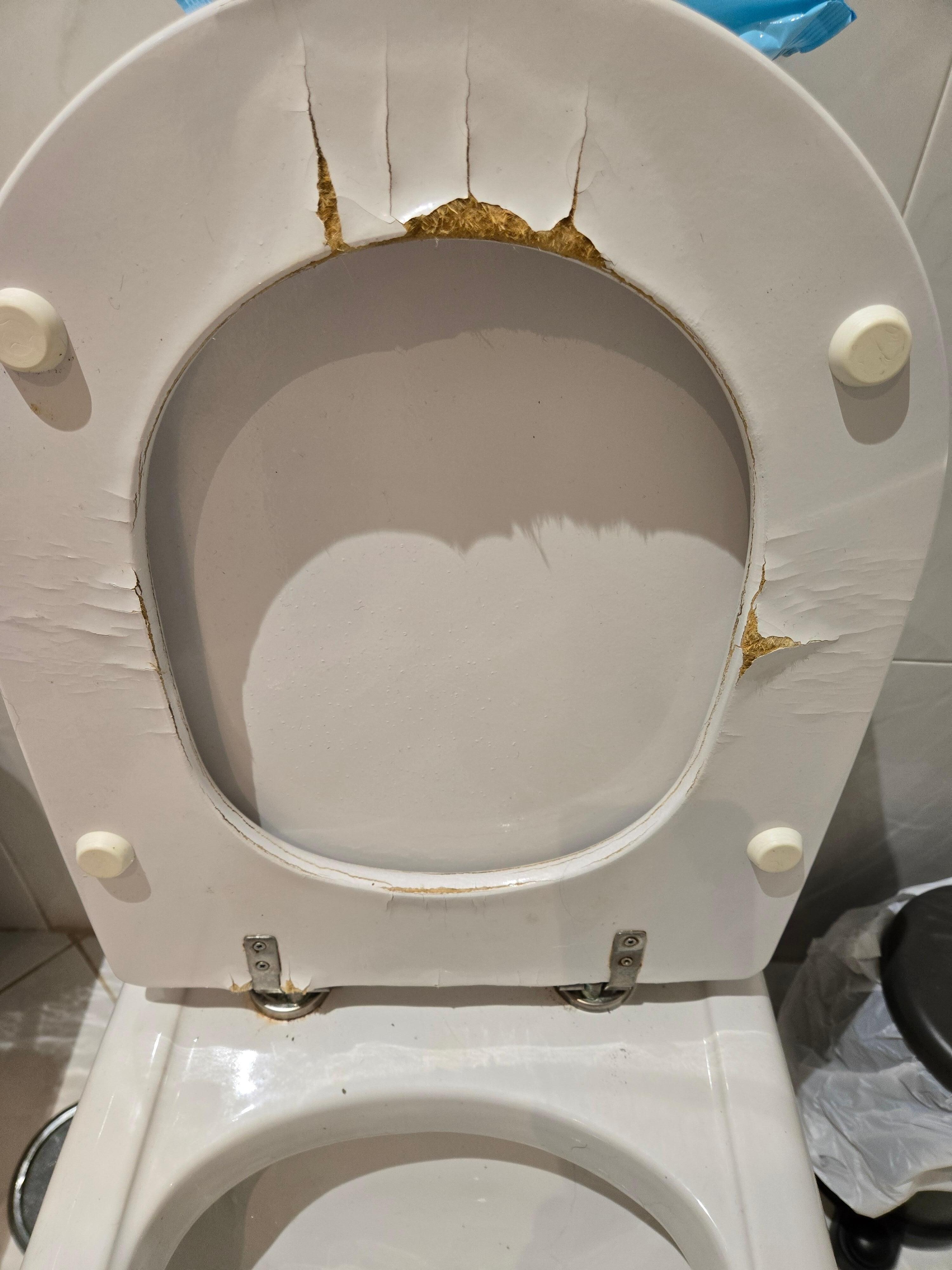 Le couvert de la toilette mérite d’être remplacé car  il est complètement dégardé