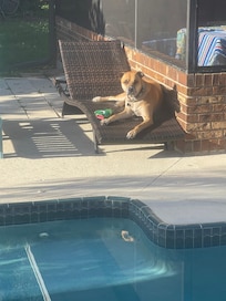 Louie enjoyed it too